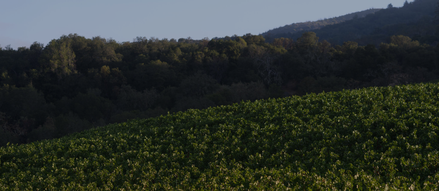Hamel Family Ranch vineyard image