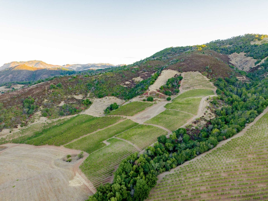 Drone shot of Grenache blocks at Nuns Canyon Vineyard