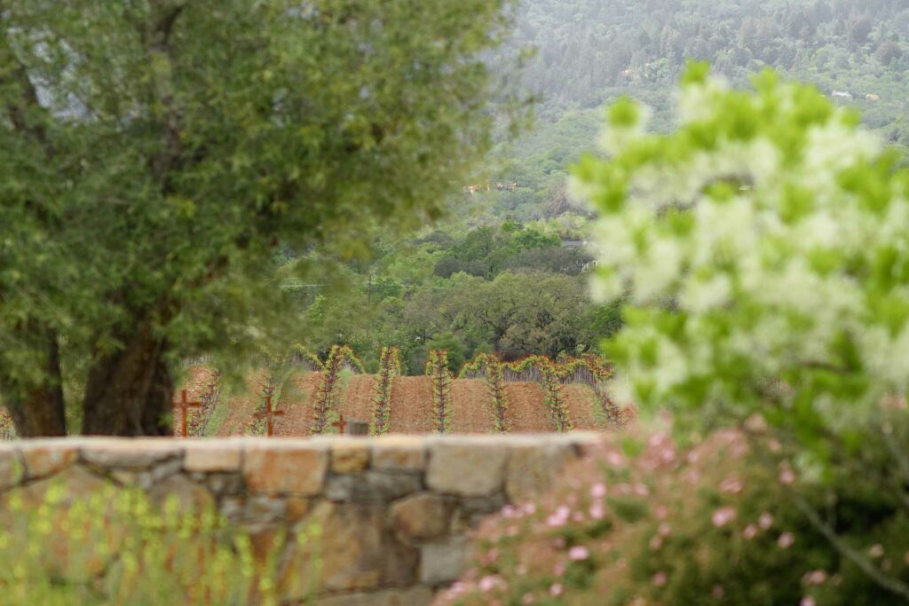 View of Hamel Family Ranch from the Estate House