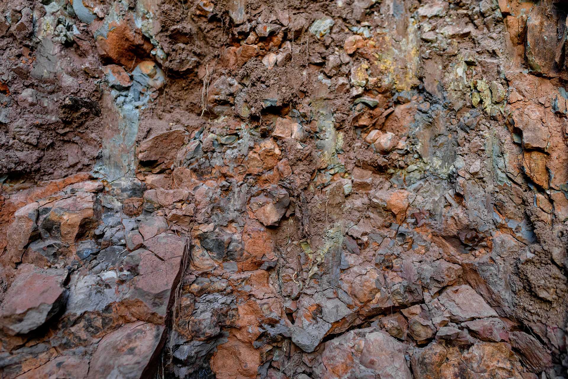 extreme close up of rocks that make up Hamel terroir