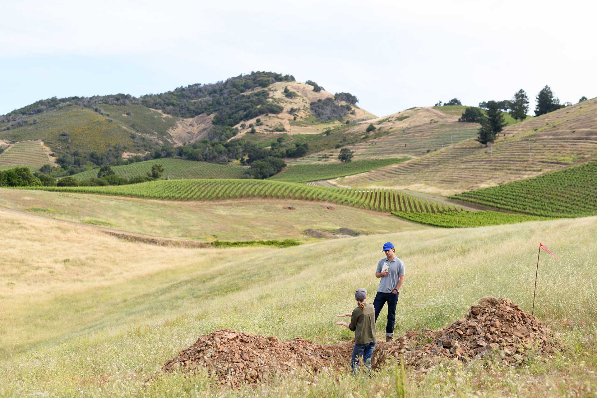 Hamel Winemaking in the vineyards discussing soil and viticulture