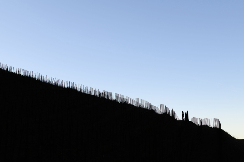 Winemaker in the vineyards, vineyards in silhouette against clear blue sky