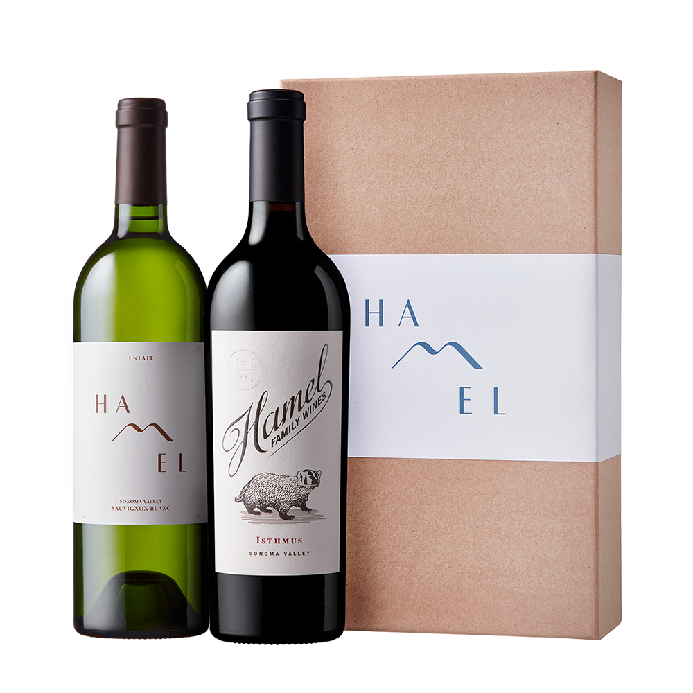 One bottle of Hamel Sauvignon Blanc, and one bottle of Hamel Isthmus with a cardboard gift box