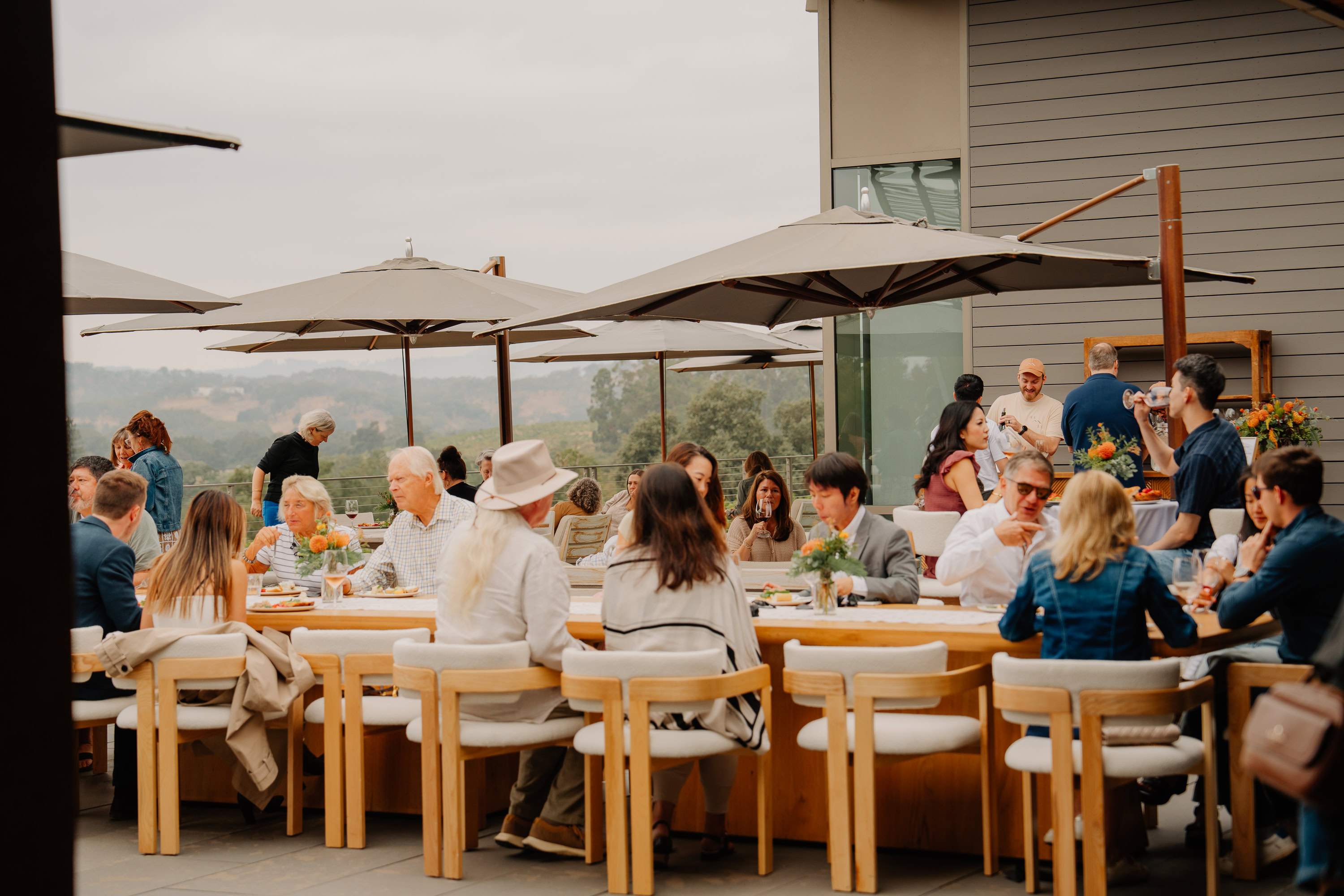 People in sunlit room sitting around tables with wine glasses.